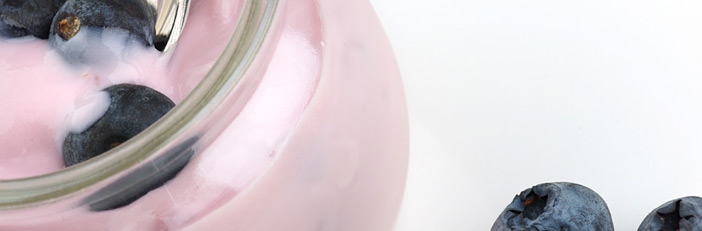 Yogurt Yogurt